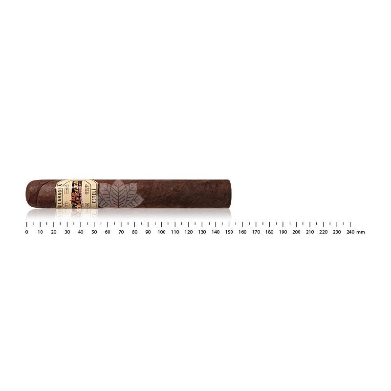 The Traveler Maduro London