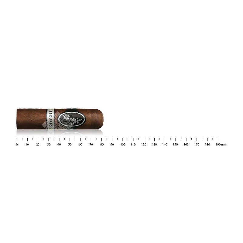 Davidoff Ecurio Petit Robusto
