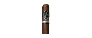 Davidoff Ecurio Petit Robusto