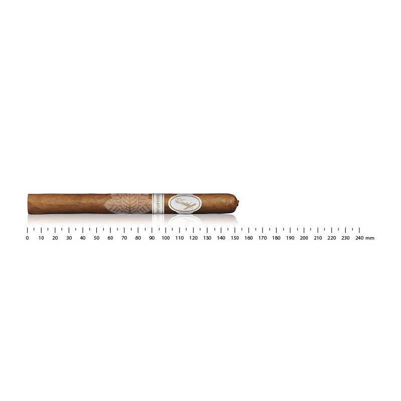 Davidoff Signature No.2