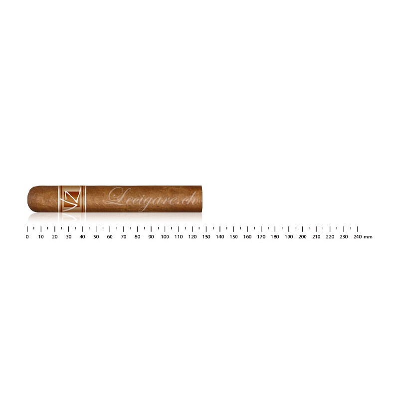Villa Zamorano Robusto