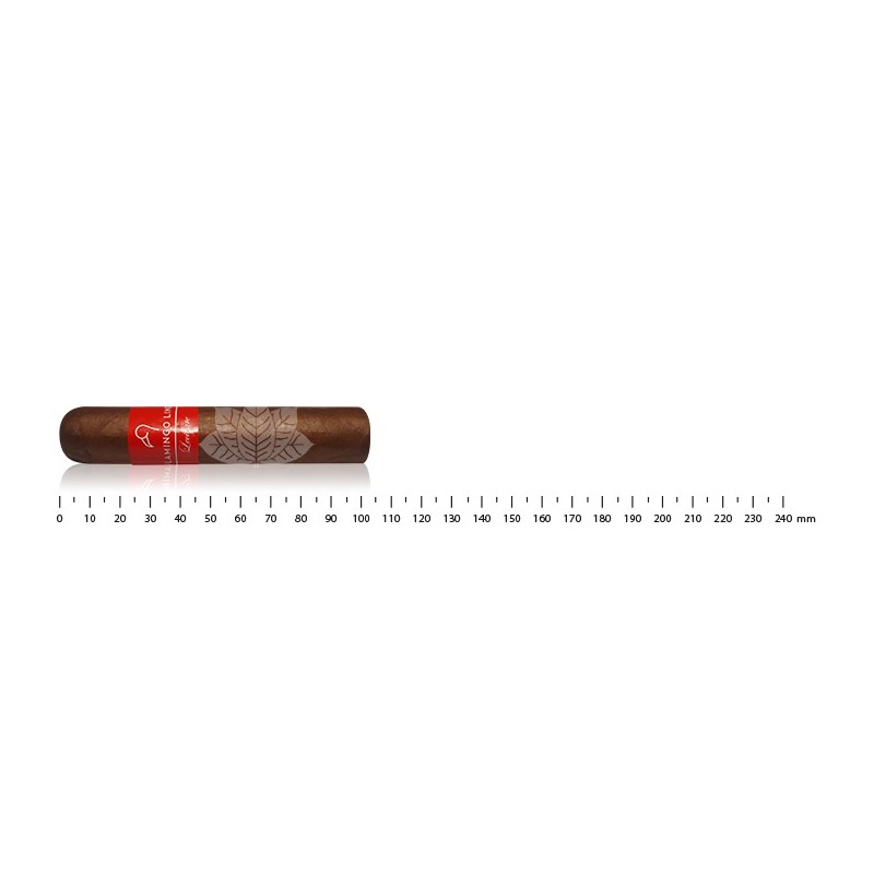 Lecigare - Flamingo 48