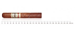Casa Magna Robusto