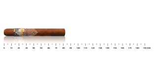Cohiba Short