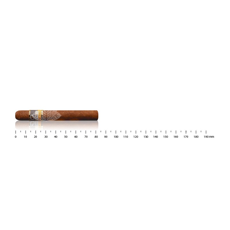 Cohiba Short