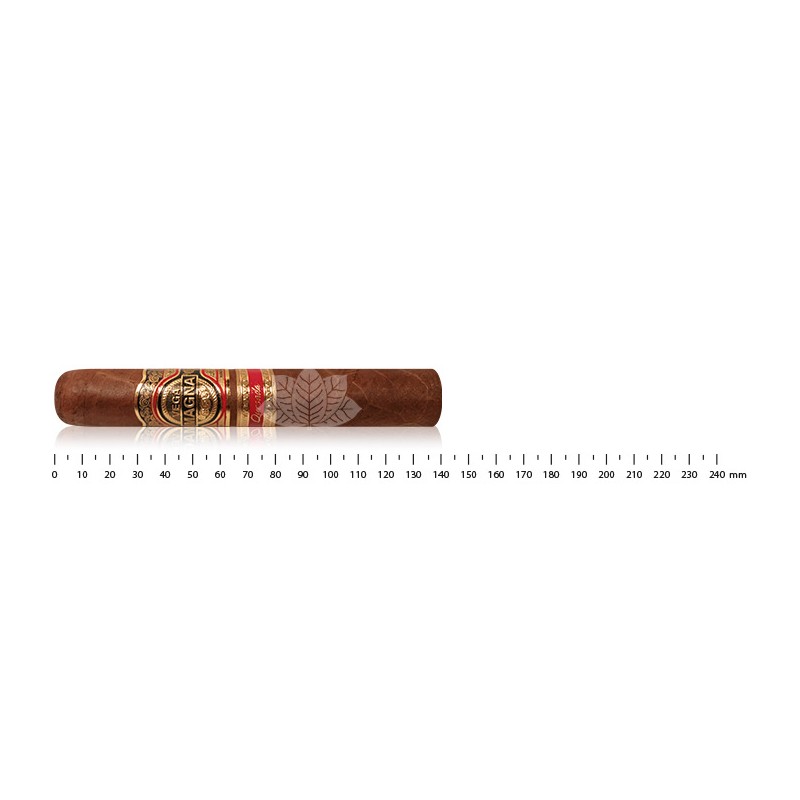 Quesada Vega Magna Robusto