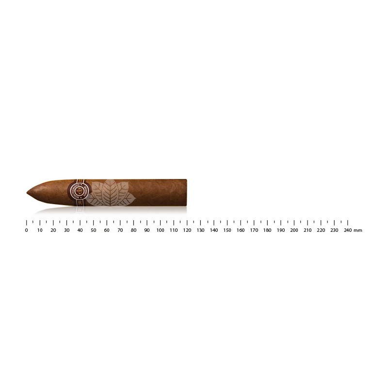 Montecristo Petit No.2 AT (3)