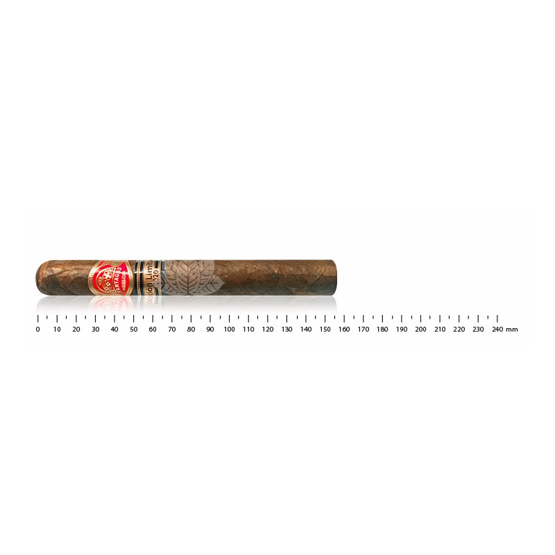 Partagas Legados LTD 2020