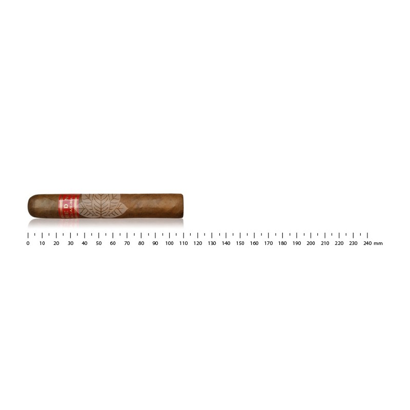 Partagas Serie D No.5 (10)