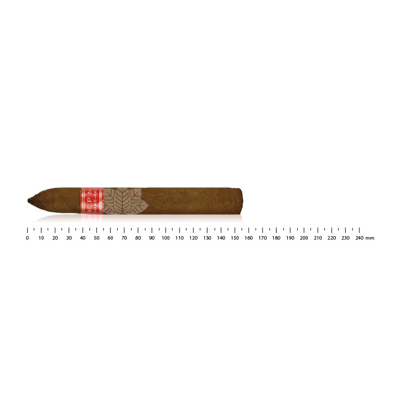 Partagas série P No.2 (10)