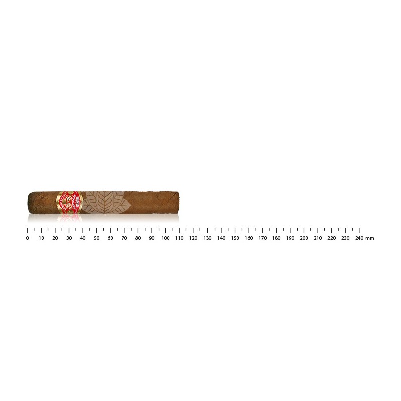 Partagas Shorts (50)