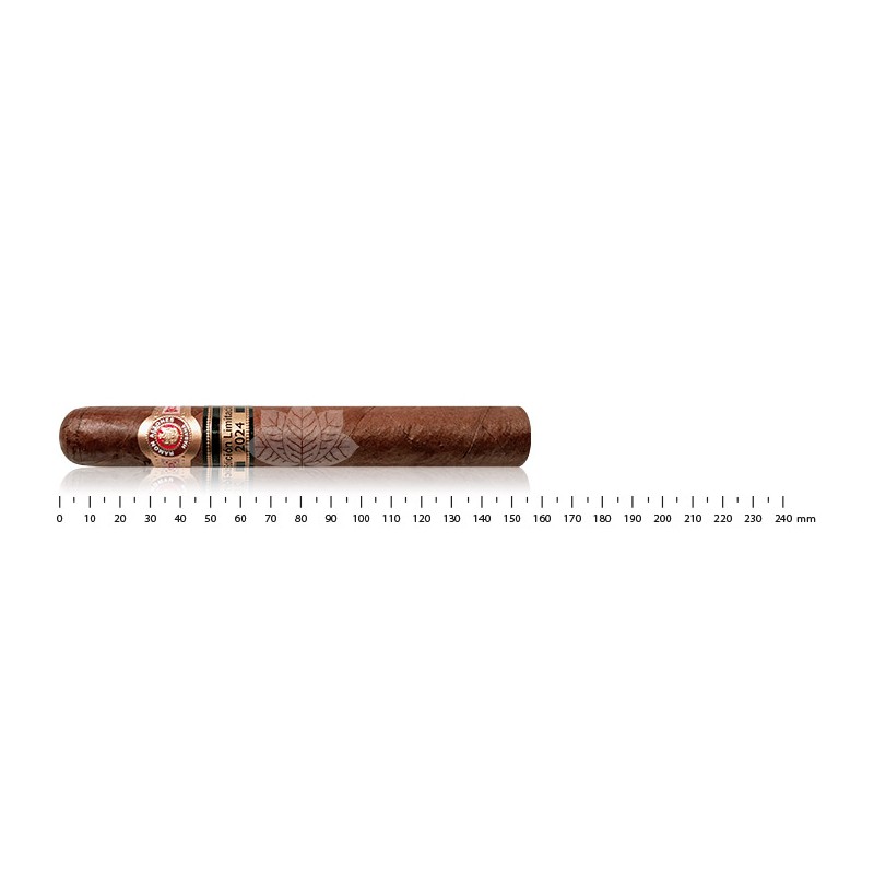 Ramon Allones Absolutos LTD 2024