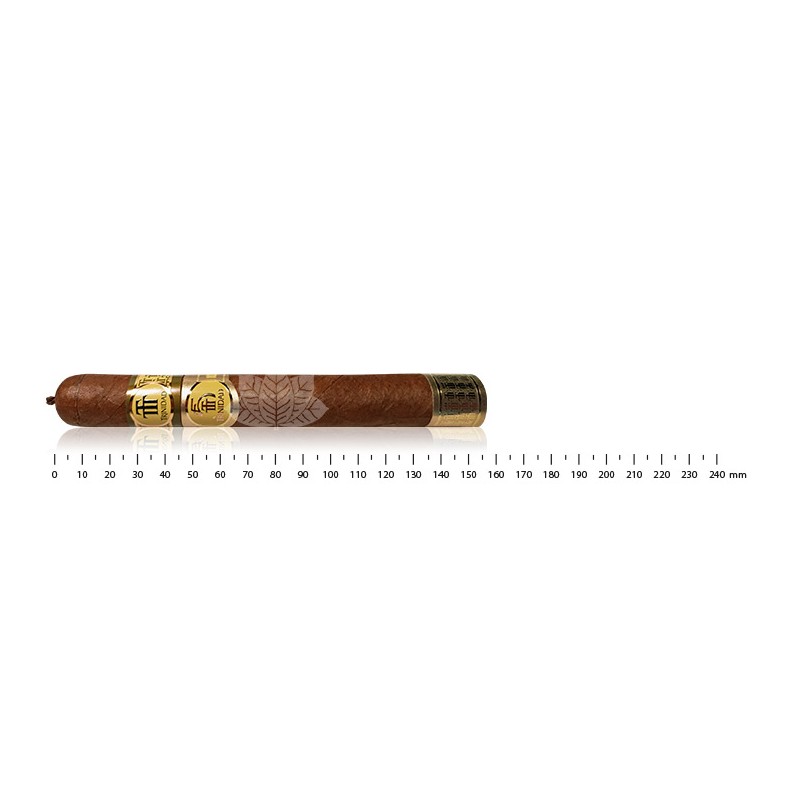 Trinidad Robusto Extra (3)