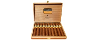 Cohiba Ambar