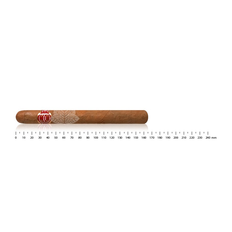 Arturo Fuente Curly Head Deluxe
