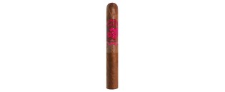 Bribon Petit Corona
