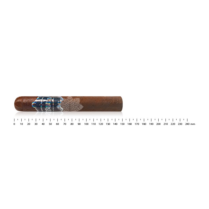 Bribon Toro