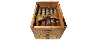 Bribon Torpedo