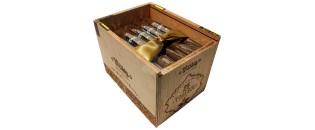 Bribon Torpedo