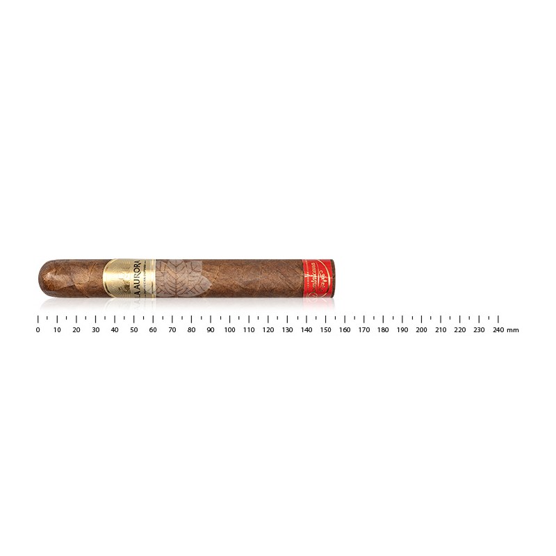 La Aurora Dominicana Toro