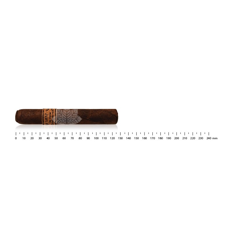 Leaf by Oscar Valladares Maduro Robusto