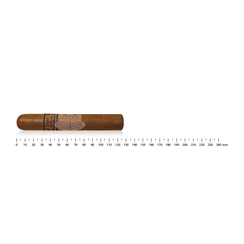 Leaf by Oscar Valladares Connecticut Robusto