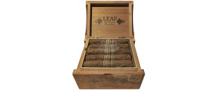 Leaf by Oscar Valladares Connecticut Robusto