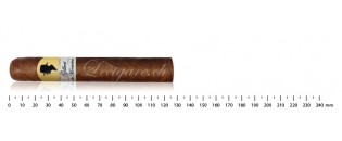 Gilbert de Montsalvat Révolution Style Robusto