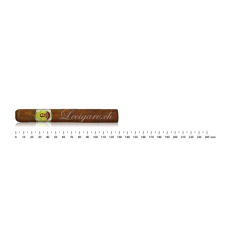 Bolivar Petit Coronas