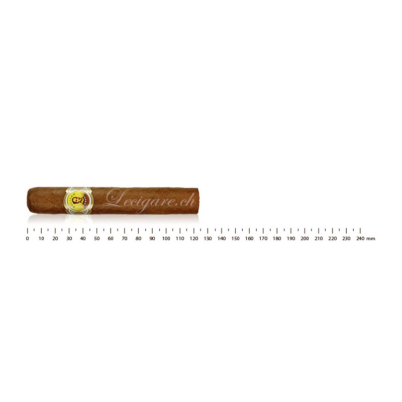 Bolivar Royal Coronas