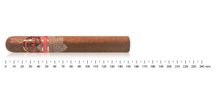 Pack découverte cigares Aliados (8 cigares)
