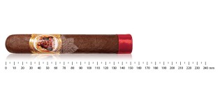 Pack découverte cigares Nicaragua Gordo (8 cigares)