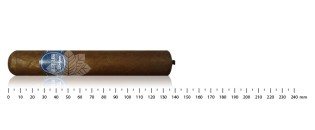 Pack découverte cigares Nicaragua Gordo (8 cigares)
