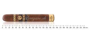 Pack découverte cigares Nicaragua Gordo (8 cigares)