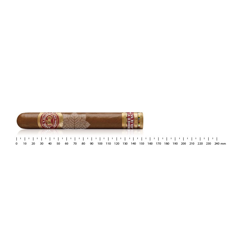 Romeo y Julieta Amantes