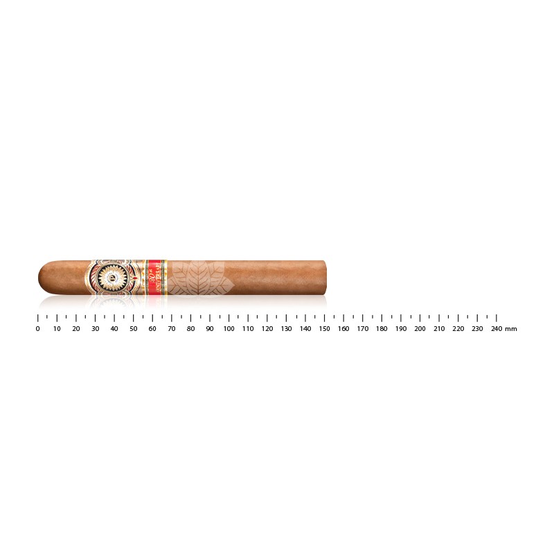 Perdomo 20th Anniversary Connecticut Epicure