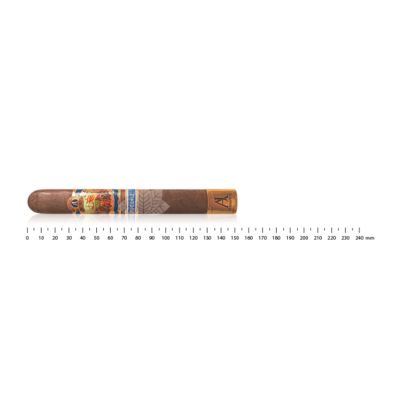 AJ Fernandez New World Decenio Toro