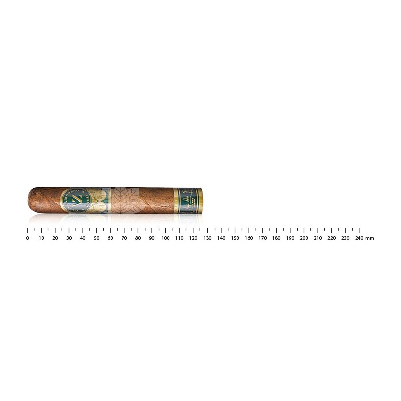 Villa Zamorano Danlí Robusto