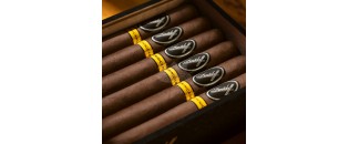 Davidoff Puro Dominicano Perfecto