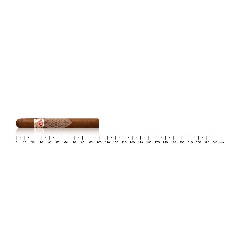 Hoyo de Monterrey Du Maire