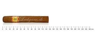 El Rey del Mundo Choix Suprême