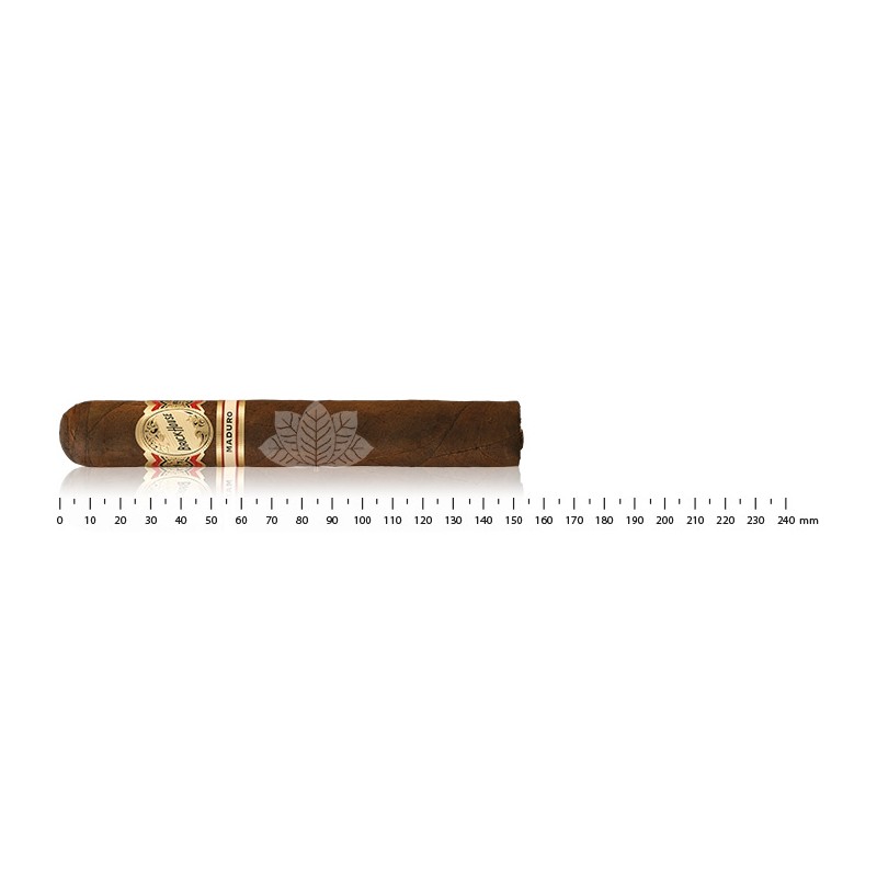Brickhouse Mighty Mighty Maduro