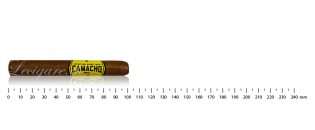 Camacho Criollo Machinos