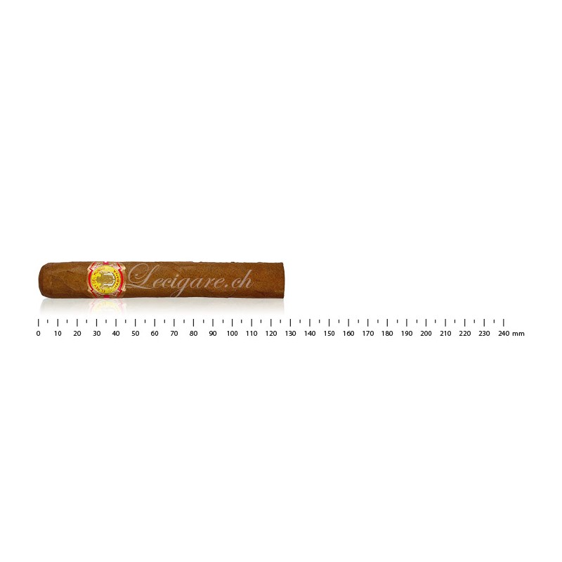 El Rey del Mundo Choix Suprême