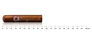 Montecristo Media Corona