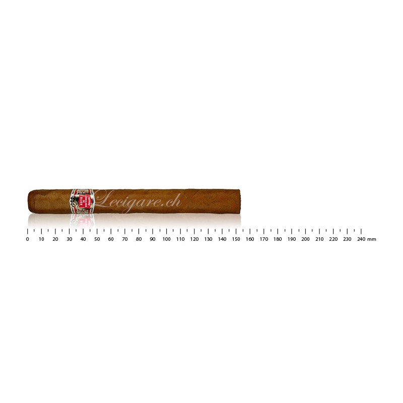 Hoyo de Monterrey Palmas Extra