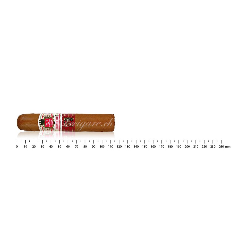Hoyo de Monterrey Epicure de Luxe (LCDH) (10)