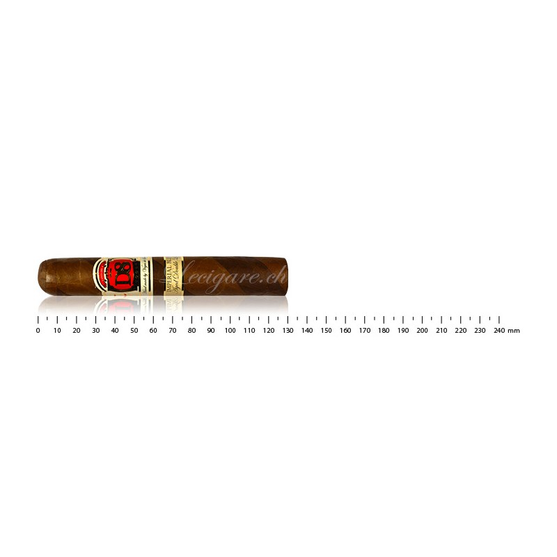 Vegas de Santiago D8 Robusto Imperial blend bicolor