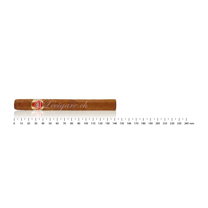 H.Upmann Majestic