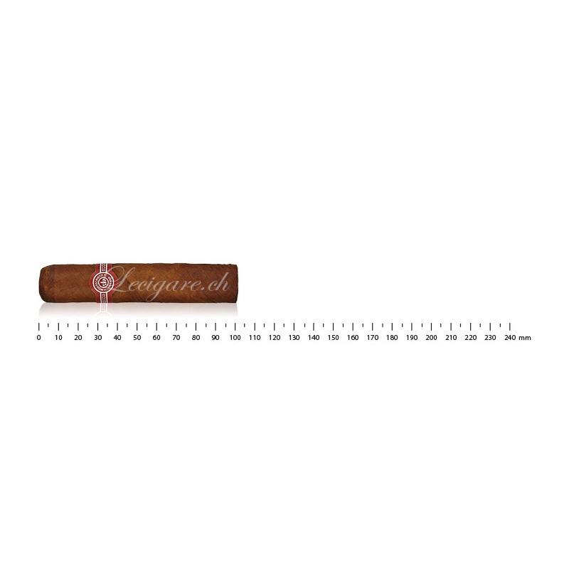 Montecristo Petit Edmundo (10)